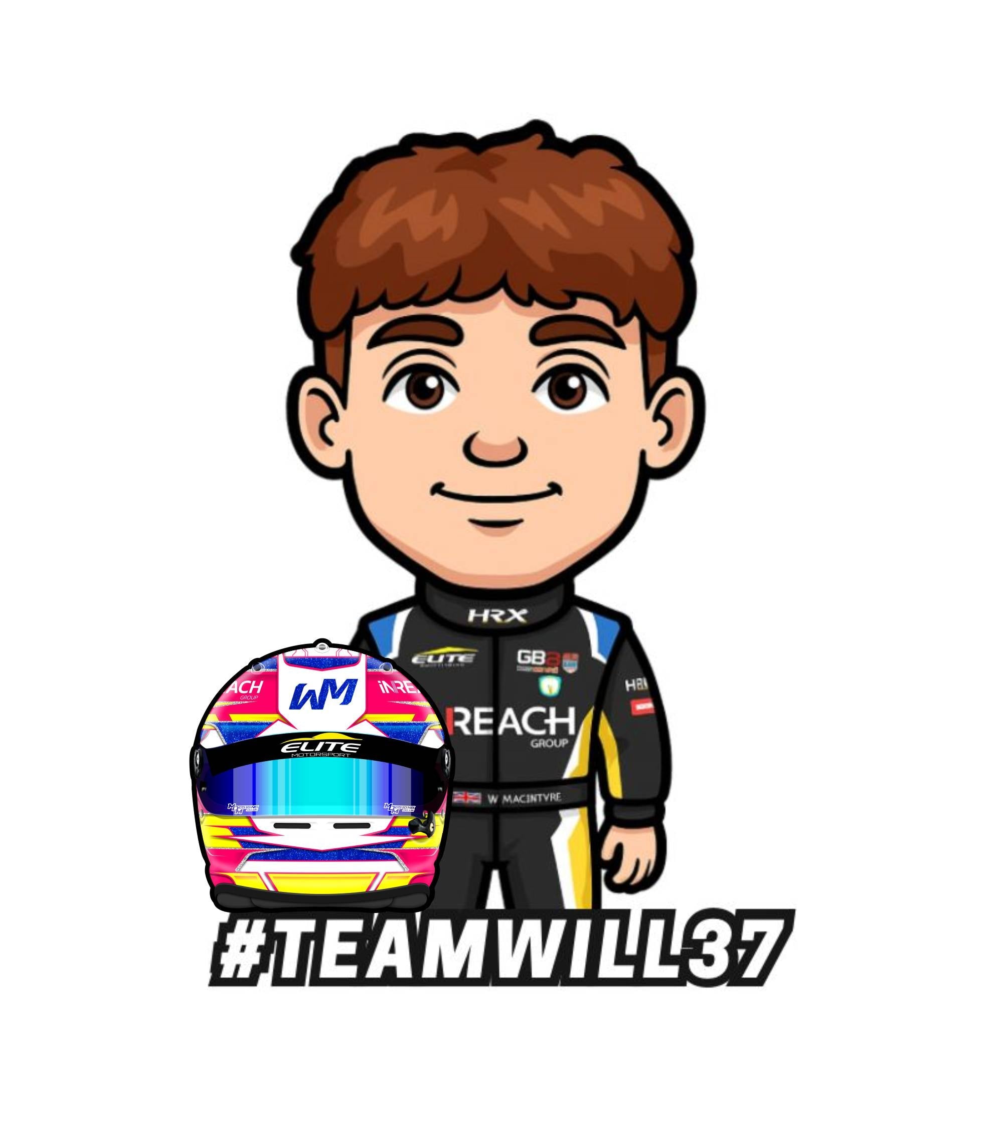 Mini Will Driver