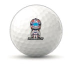 Titleist PRO V1 New Golf balls pack of 12