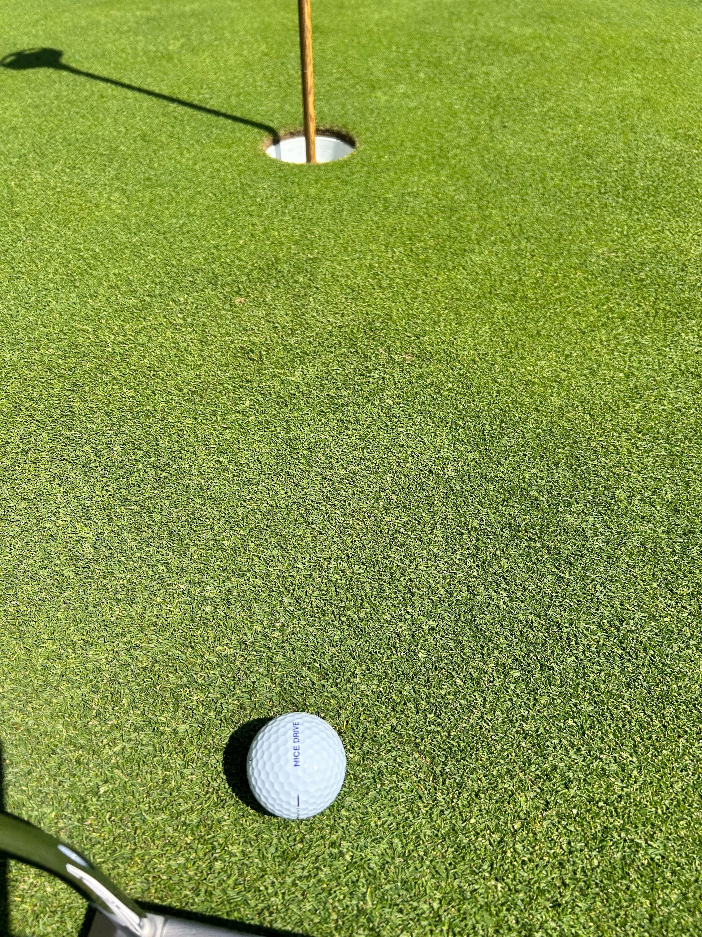Mini Will Titleist Pro V1 New Golf Balls