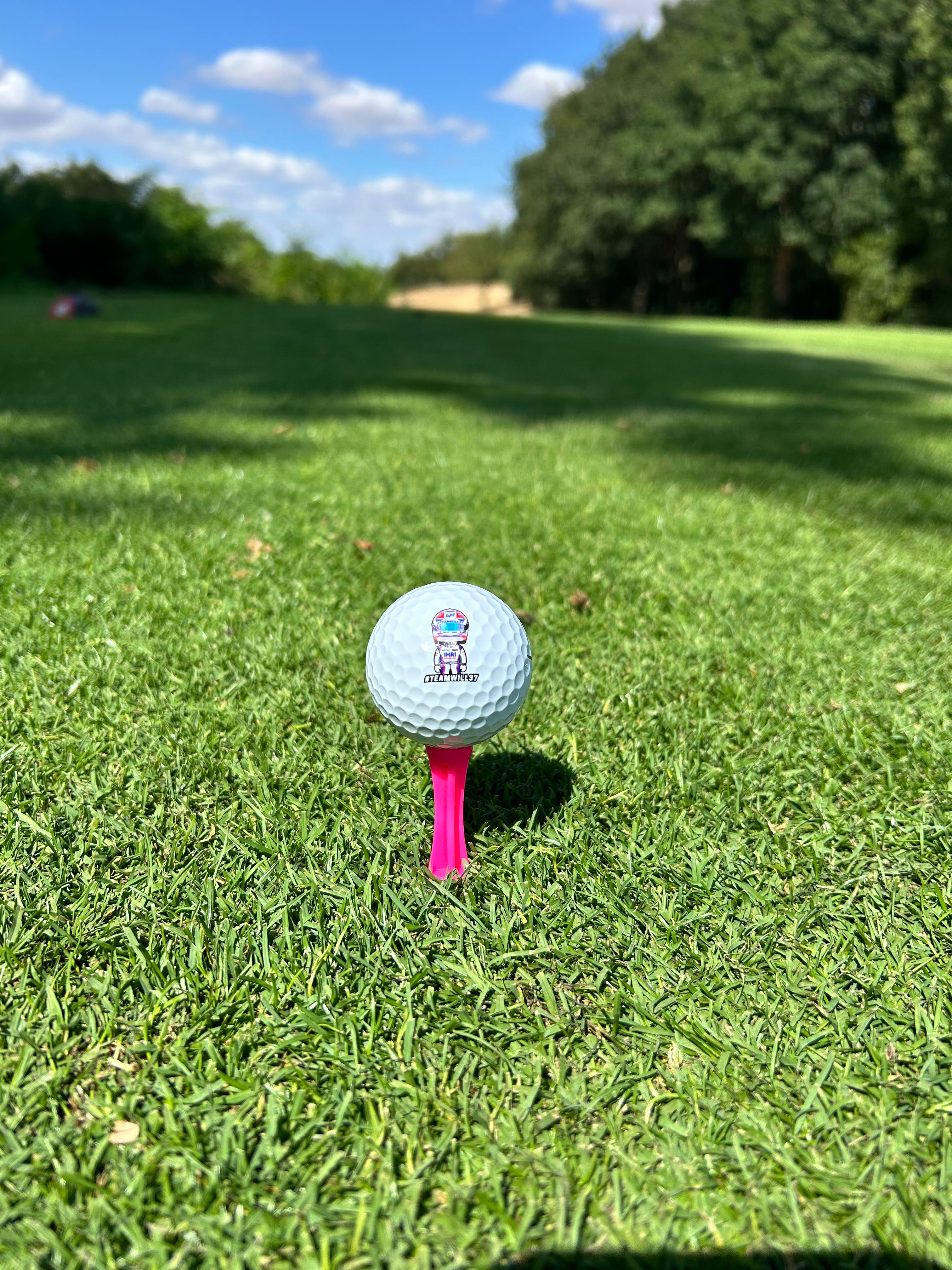 Mini Will Titleist Pro V1 New Golf Balls